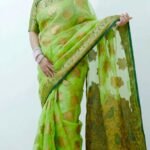 This_is_an_original_image_of_the_saree_with_the_mo_delpmaspu (3)